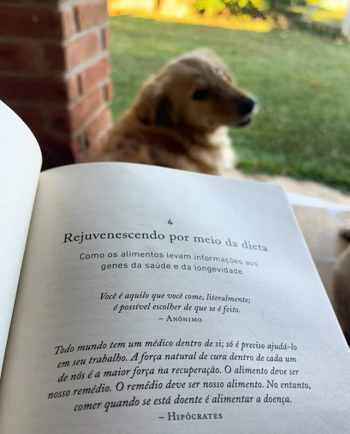 Dra. Laíssa Santiago - Médica Veterinária